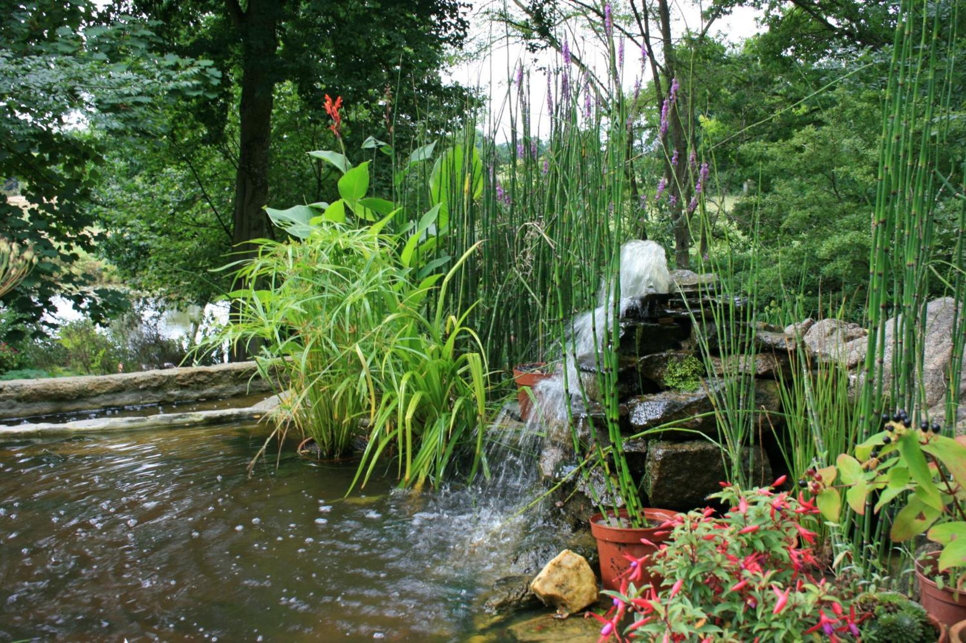 Au Pont Ricoul Bed & Breakfast Saint-Pierre-de-Plesguen Bagian luar foto