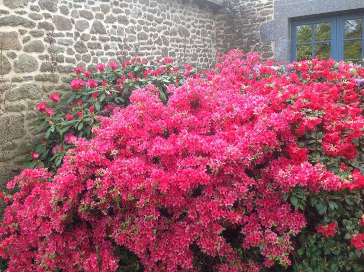Au Pont Ricoul Bed & Breakfast Saint-Pierre-de-Plesguen Bagian luar foto