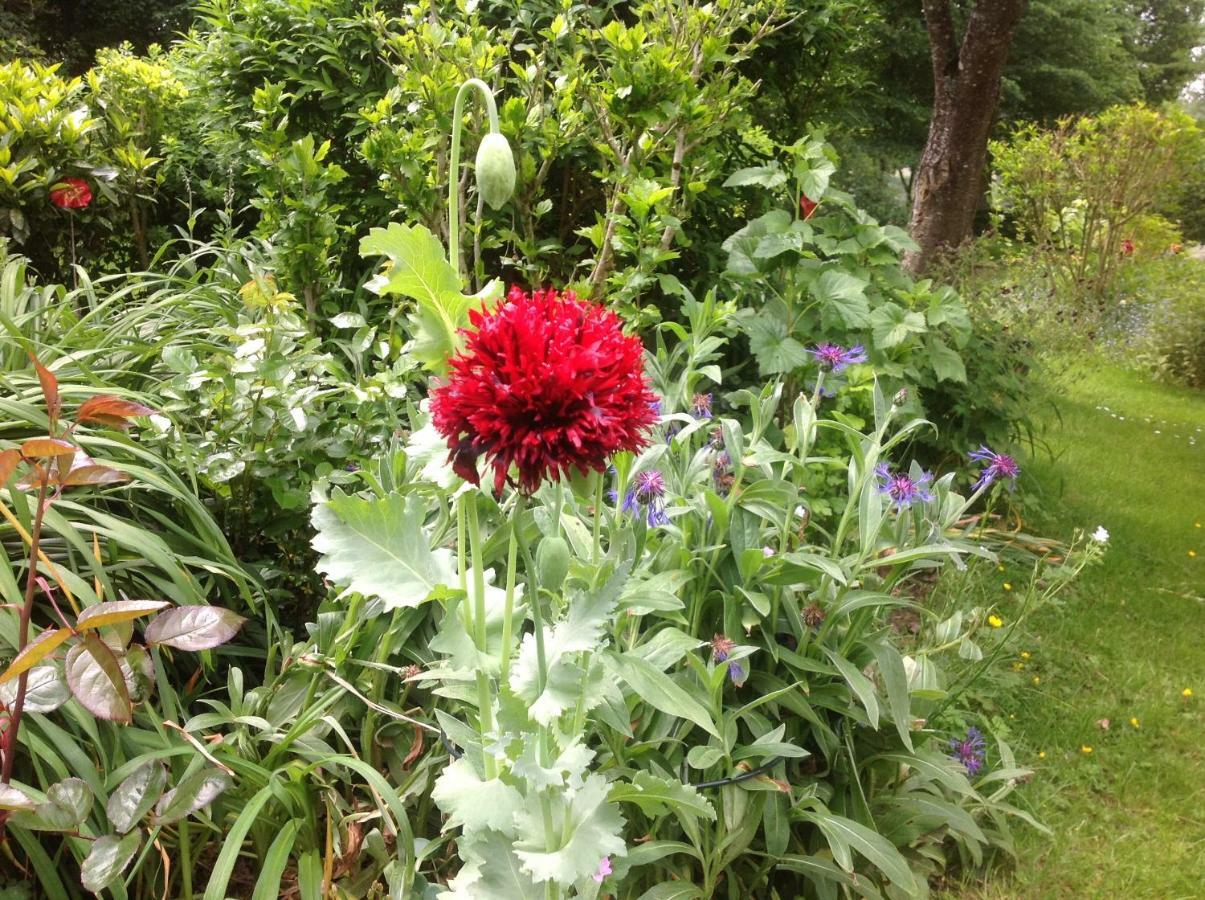 Au Pont Ricoul Bed & Breakfast Saint-Pierre-de-Plesguen Bagian luar foto